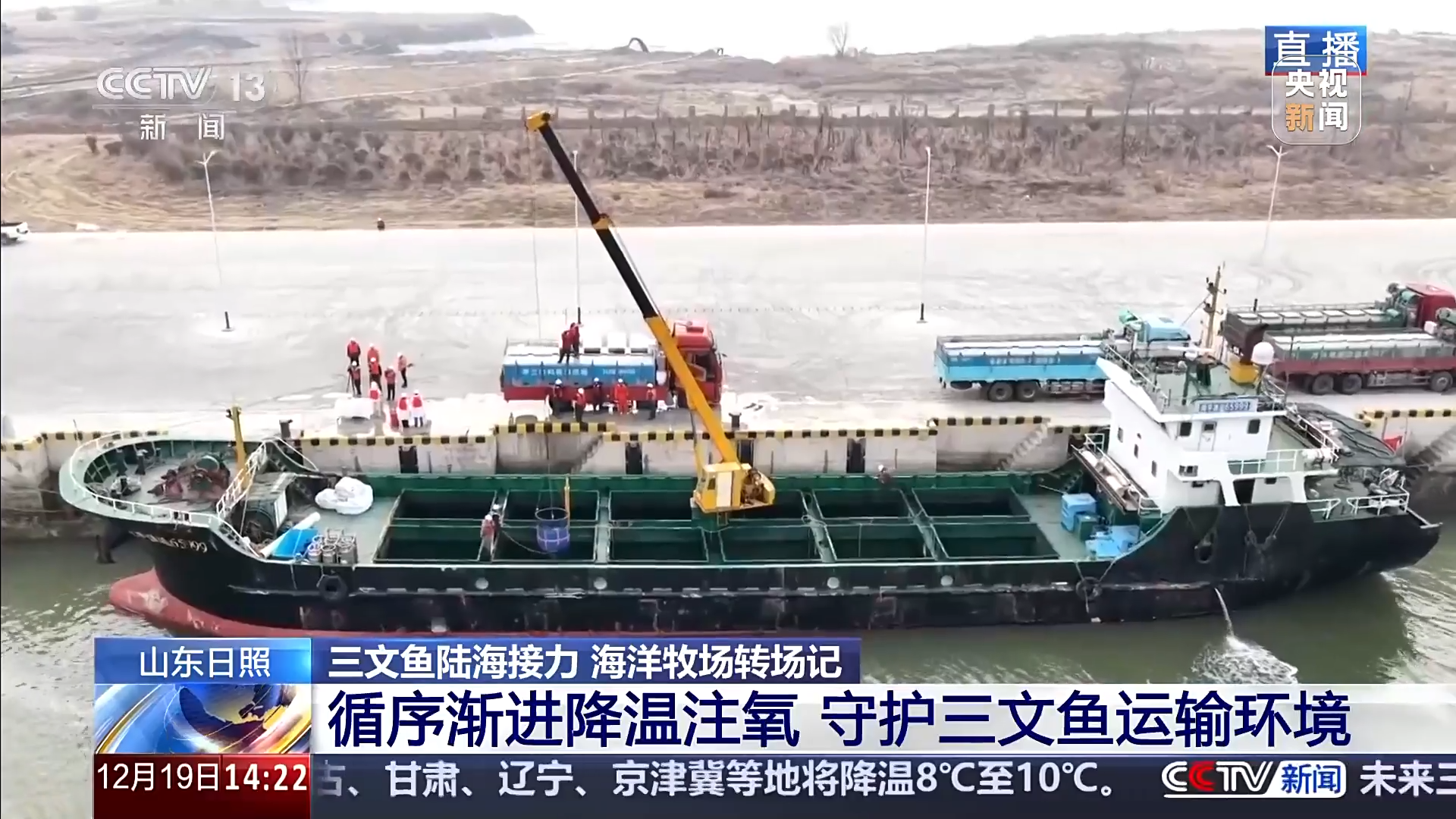 日照黄海中心渔港-央视报导.png